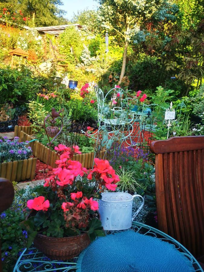 Ferienhaus Mit Riesen Garten, Drei Terrassen, Toller Aussicht Am Waldrand, Auch Als Monteur-Wohnung Hemer Exteriör bild