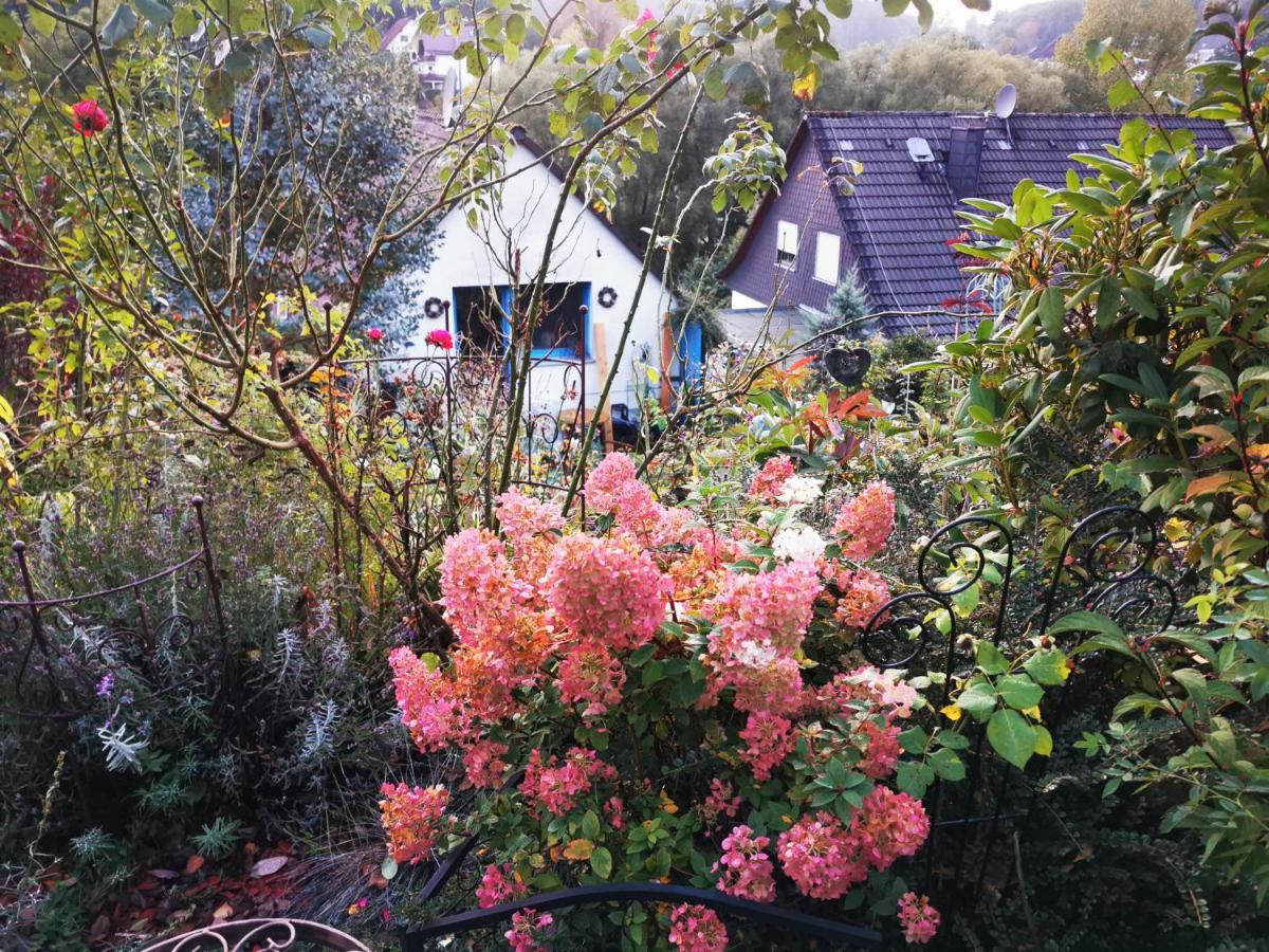 Ferienhaus Mit Riesen Garten, Drei Terrassen, Toller Aussicht Am Waldrand, Auch Als Monteur-Wohnung Hemer Exteriör bild