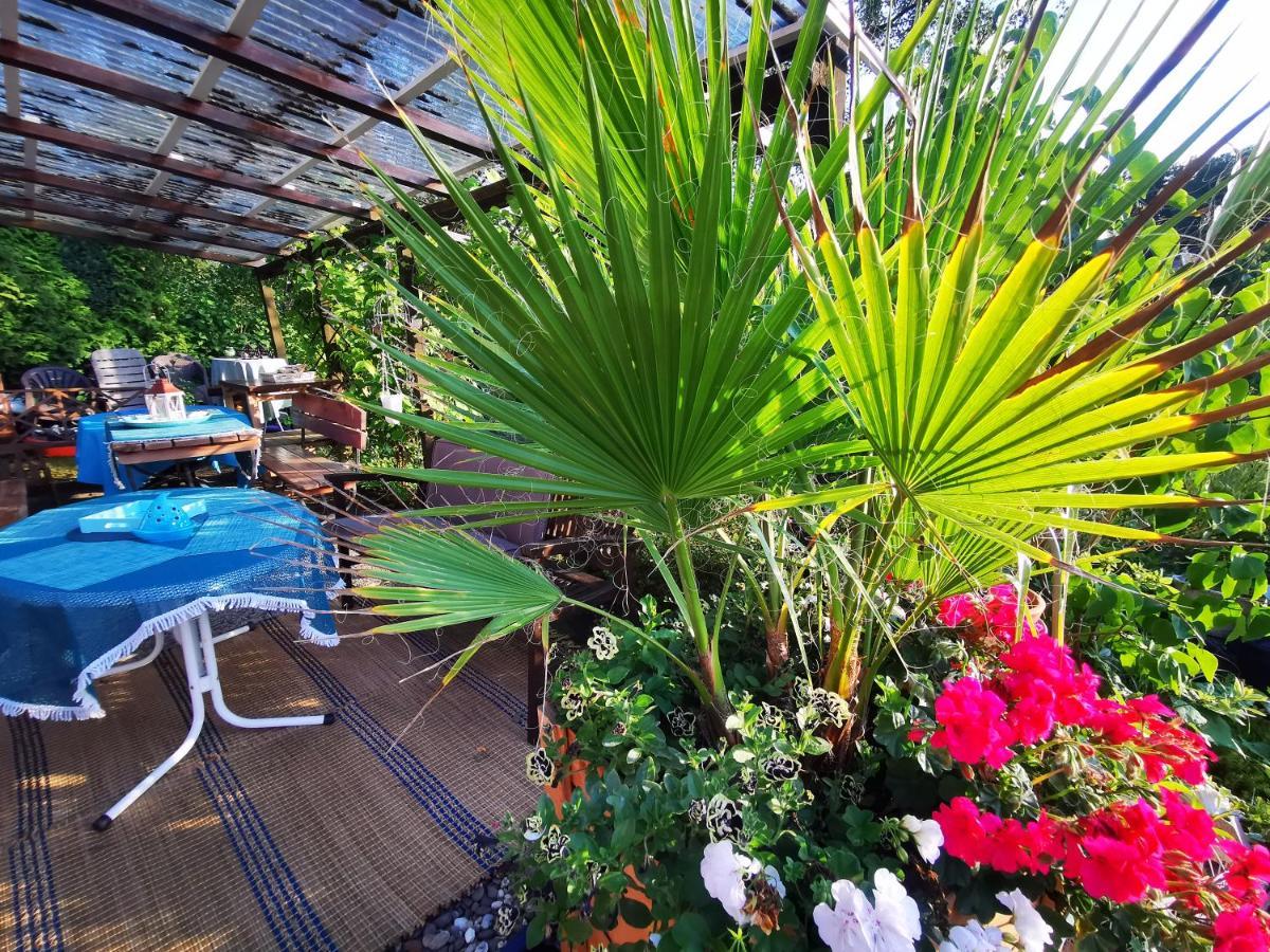Ferienhaus Mit Riesen Garten, Drei Terrassen, Toller Aussicht Am Waldrand, Auch Als Monteur-Wohnung Hemer Exteriör bild